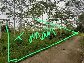 Jual tanah muaro jambi