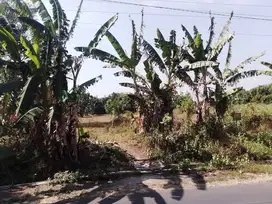 Tanah murah pasuruan