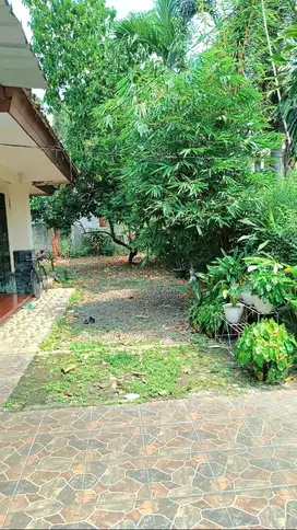 Dijual Rumah Tanah Luas Harga Dibawah Pasar Islamic Village Karawaci