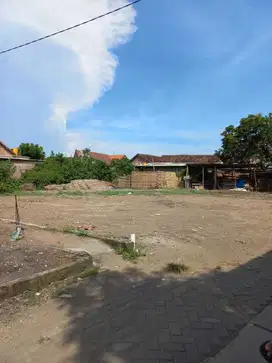 Tanah murah Bluru