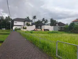 Tanah Komersial Kawasan Villa Luas 980 M² Di Lodtunduh Ubud Gianyar