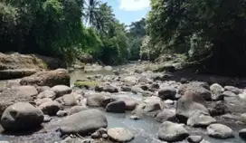 Yellow Zone Land for Leasehold with River View in Tabanan Bali