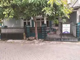 Sewa rumah pondok mutiara