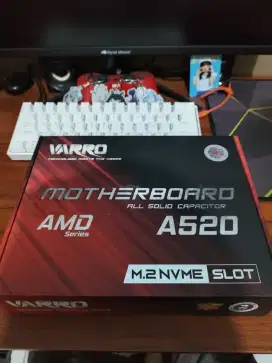 Mobo varro A520 mulus