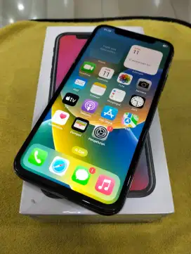 iPhone X GRay 256GB