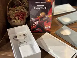 oppo reno 12 f 8/256