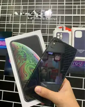 XS MAX 256GB EX INTER