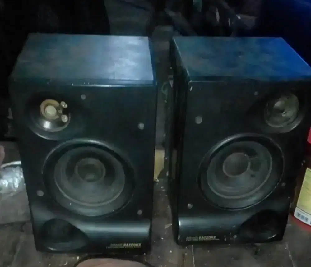 POLYTRON pasif speker