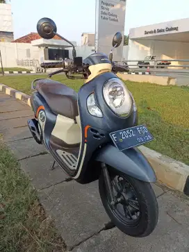 Honda Scoopy 2021 gress
