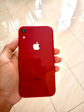iPhone Xr 256 Gb