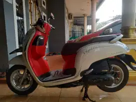 Honda Scoopy 2020