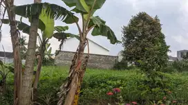 Zona Kampus Dekat Pusat Belanja dan Kuliner
