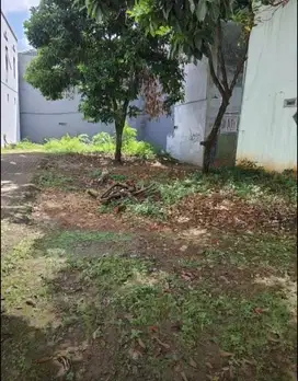 Tanah Tembalang Bulusan Utara Undip