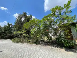 Belakang Pasar Kolombo Kaliurang, Tanah Area Kost UGM