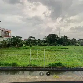 LAHAN TERMURAH LOS SUNGAI & DI JALAN UTAMA P. NYANYI, TABANAN - BALIA