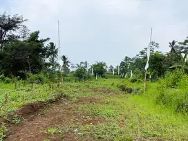 Tanah Murah Dekat Sekolah, Kampus, dan Fasilitas Umum Malang
