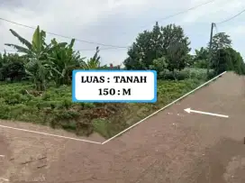 Di Jual Tanah Murah