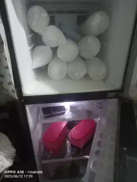 Panasonic Kulkas 2 pintu