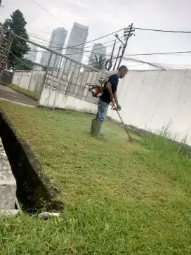 Jasa potong rumput dan rawat taman