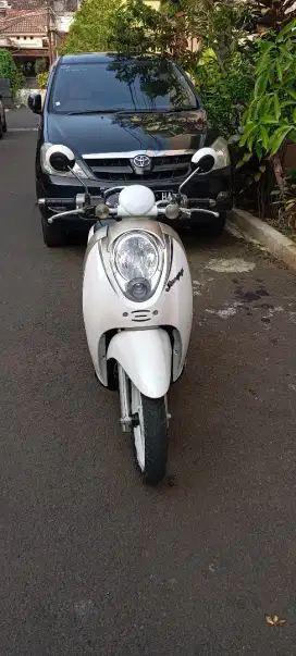 Di jual murah lengkap pajak hidup panjang