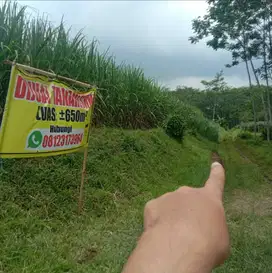 Tanah Strategis di Dataran Tinggi Kota Malang