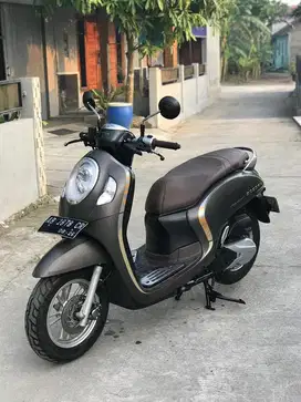 Honda scoopy 2021 ab pajak hidup bagus