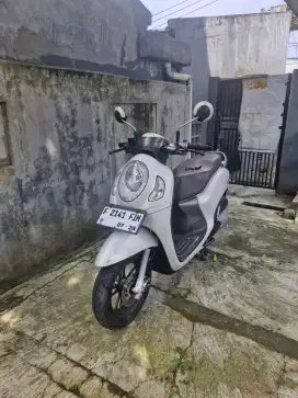 Honda Scoopy Prestige 2023 Putih Doff