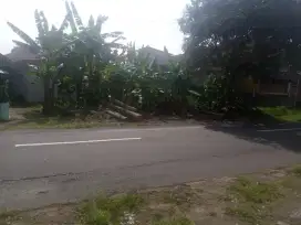 Dijual Tanah seluas 180 m2 di jalan raya kaloran, harga per meter