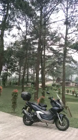 Honda adv murah istimewa