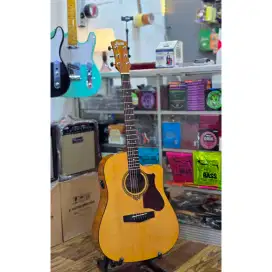 Gitar Transkustik Dluxe DW 110 (G)