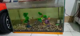 Jual Aquarium 30x80