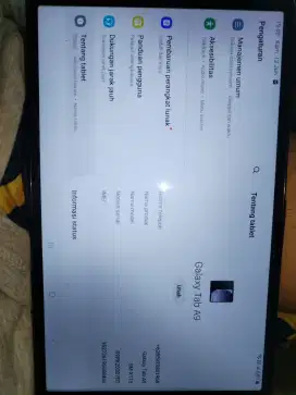 Samsung galaxy A9 lite