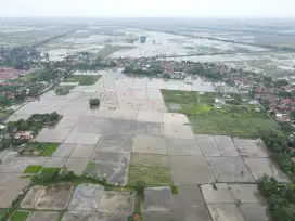 Dijual tanah sawah produktif area sukatani