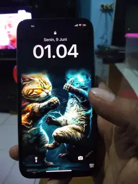I phone Xs 64gb inter LL/A mulus fullset
