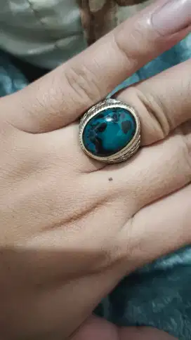 Bacan Doko Totol Coklat