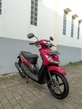 Mio garnis full ori mulus