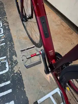 DOMINATE RR ROSSO COMP 2023