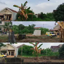 Tanah Bulung Cangkring, Jekulo,Kudus
