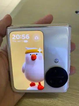 Oppo Find N 3 flip