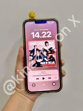 iPhone 13 Pro Max 128 GB Graphite