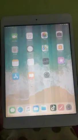 ipad mini2 minus LCD
