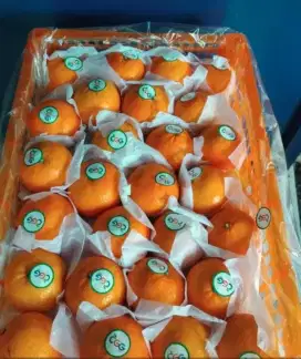 Wogam super 1kg