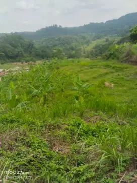 Tanah sawah dijual