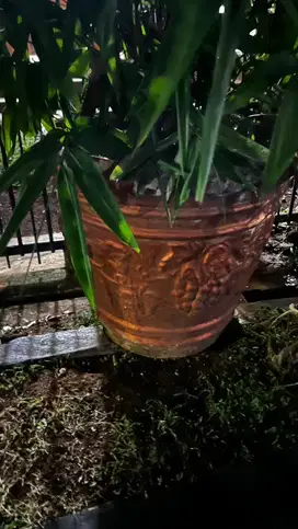 Pot bunga pohon besar ukir semen vintage antik