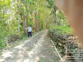 Jual tanah penuh pohon jati