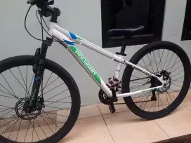Sepeda Polygon Monarch Junior