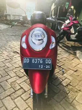 HONDA SCOOPY 2020