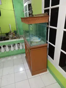 Aquarium jual aja.nga pernah dipake lagi