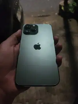 IPHONE 13 PROMAX 256 GREEN ex IBOX