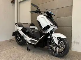 Alva Cervo Q 2024